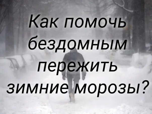 Как пережить эту зиму. Пережить зиму. как пережить зимние морозы. как бездомные переживают зиму. как пережить зиму.