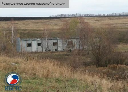Погода васильевка липецкая