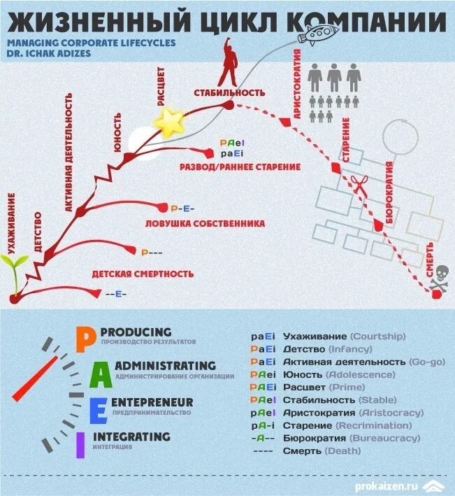 Ицхак Адизес жизненный цикл компании. Адизес Ицхак жизненныйиццикл. Адизес жизненный цикл организации 4. Ицхак Адизес модель жизненного цикла.