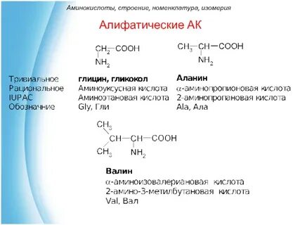 Строение номенклатура