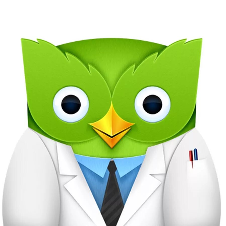 Аватары duolingo. Сова из duolingo. зеленая сова дуолинго. duolingo 2011.