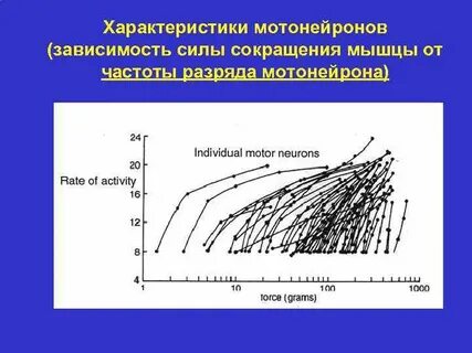 Частота в мышцах