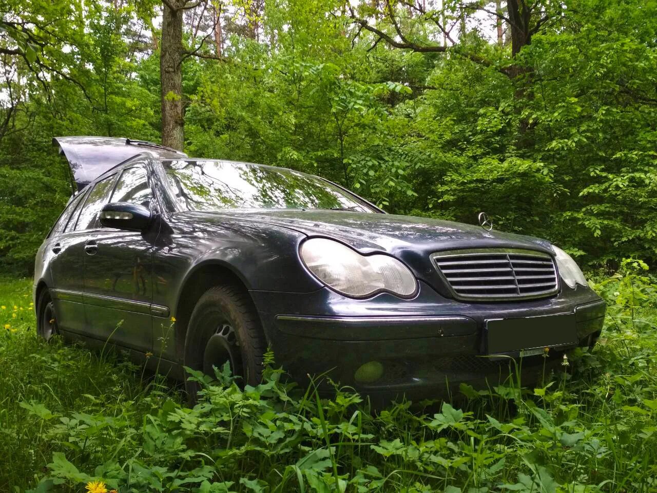 Мерседес в лесу фото