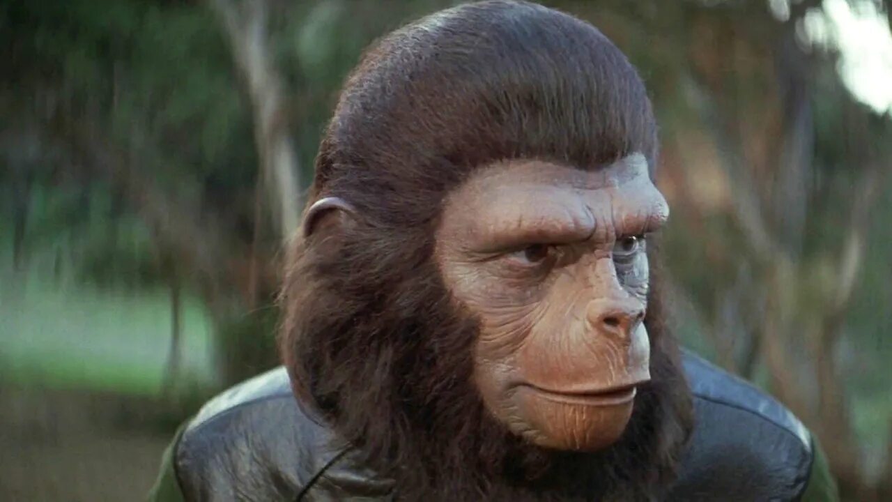 Человек обезьяна название. Планета обезьян Морис. Планета обезьян 1998. Планета обезьян 1986.