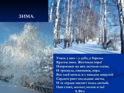 Учить у них у дуба у березы