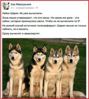 Включи про лайки