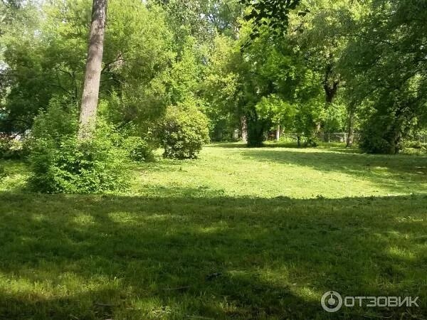 Отзыв о Парк "Боева дача" (Россия, Курск) Отличное место для спорта и отдыха.