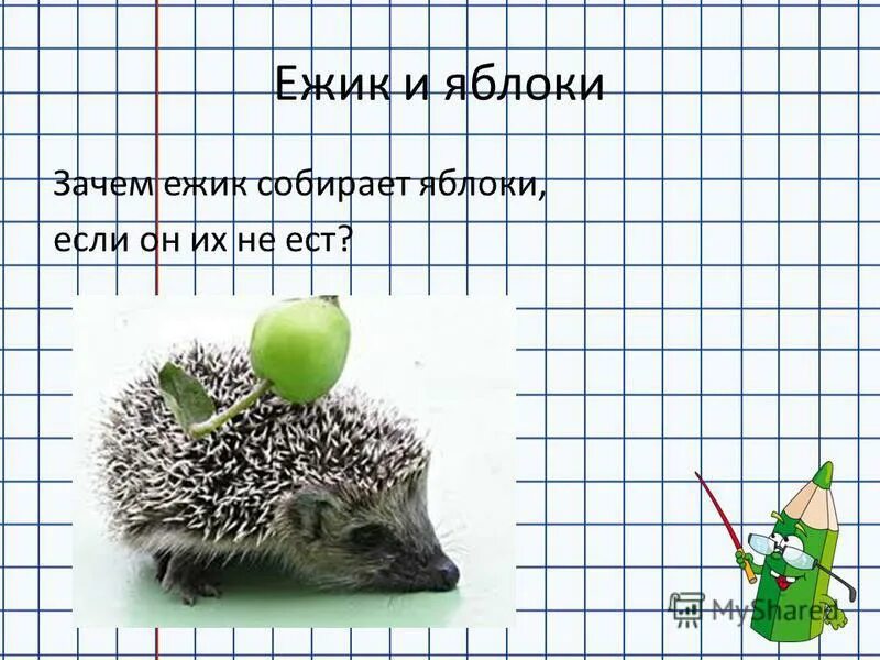 Кучерская м. Зачем ежу иголки. Почему я еж. Ежик для детской книжки. Еж топает.