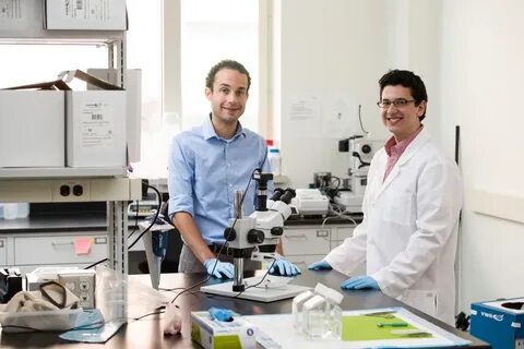 Biomedical engineering