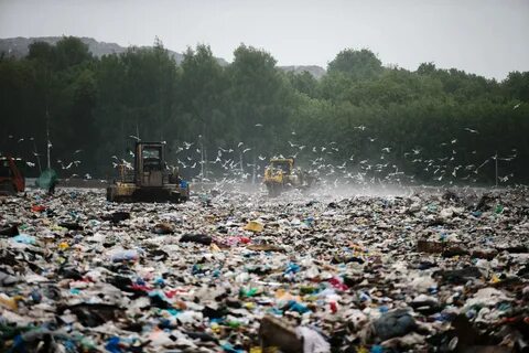 Экология промышленных отходов