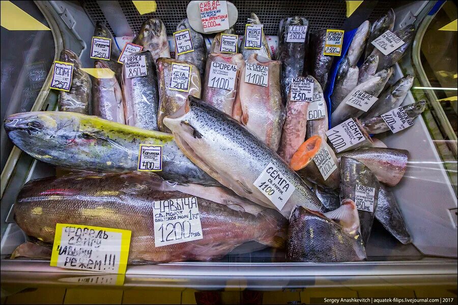 Рыба в магазине. Самая дешевая рыба в магазине. Рыба продается. Рыба на рынке названия.