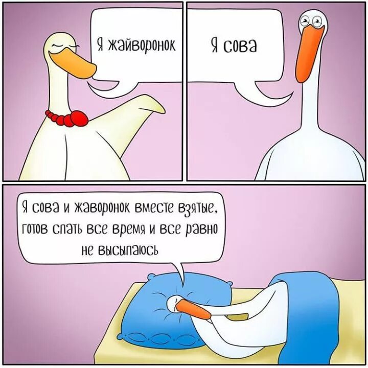 Есть даже несколько