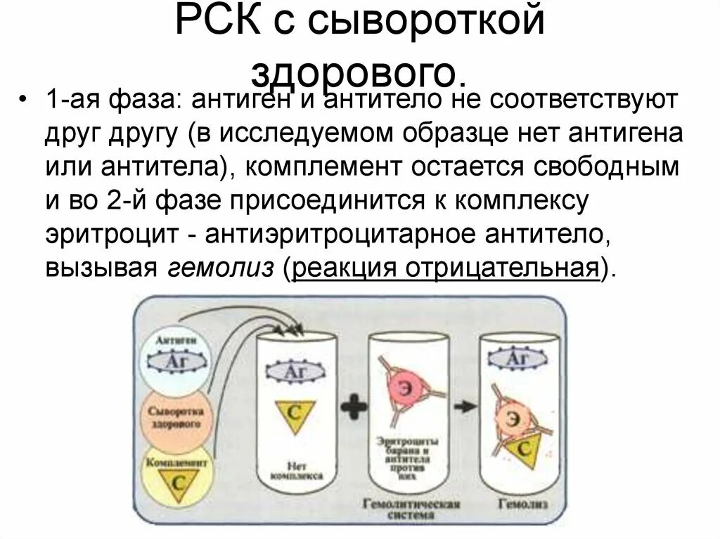 Комплемента рск. Цель РСК при исследовании сыворотки. РСК реакция. Постановка РСК. Назначение РСК (реакции связывания комплемента):.