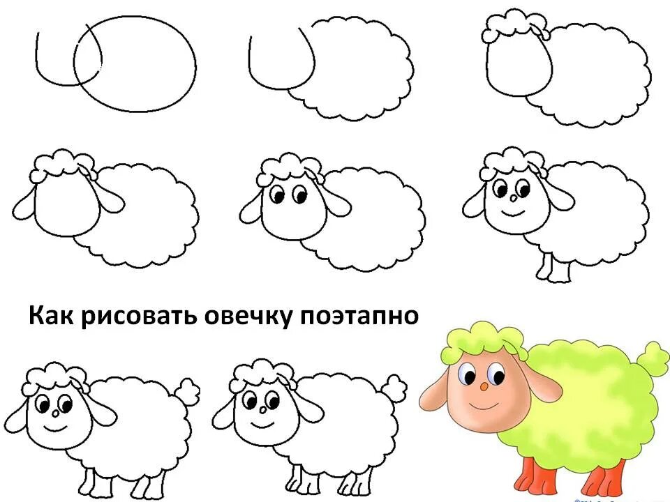 Рисование по этапно для детей. Схемы рисунков для детей. Как нарисовать овечку. Овечка рисунок. Раскраска поэтапно