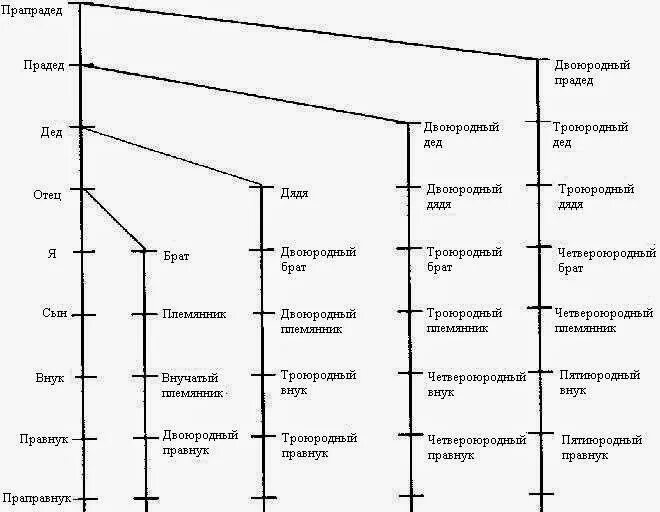 Родственники по материнской линии. Родственные связи схема родства. Схема родства двоюродная племянница. Схема троюродного родства. Родственные связи схема троюродные братья.