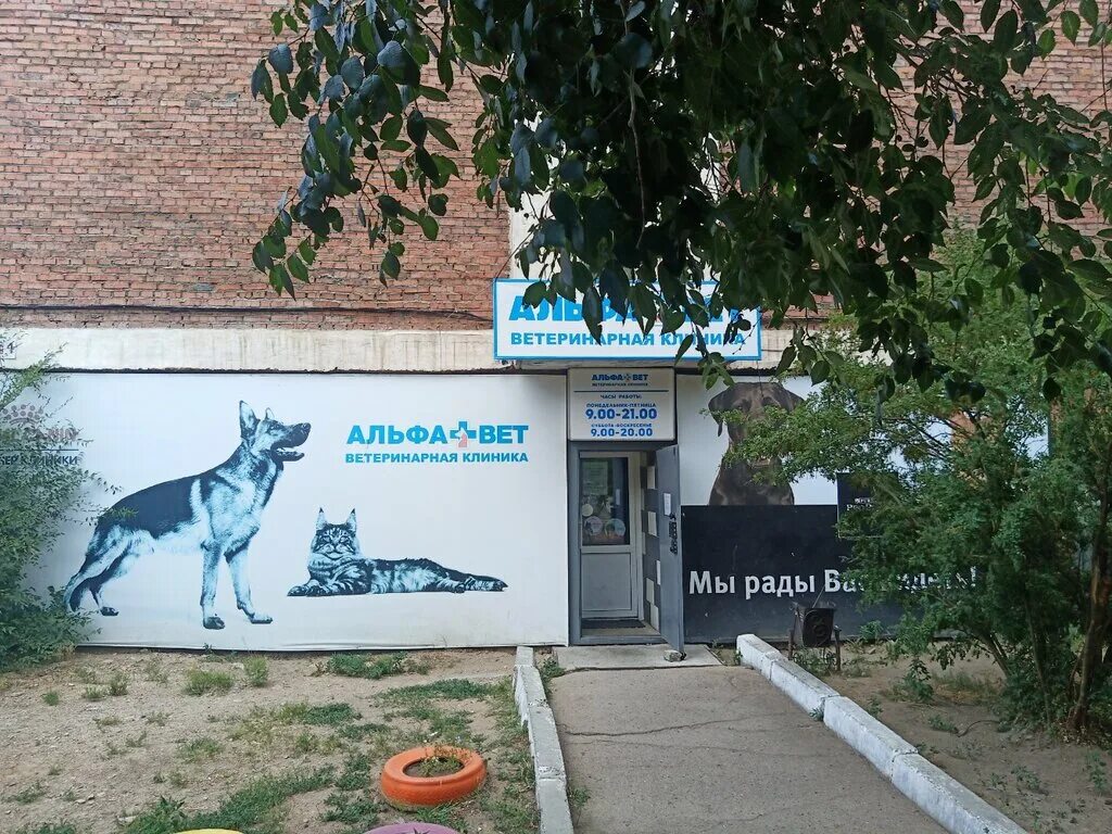 зоосфера улан удэ. клиника зоосфера улан-удэ. зоосфера улан удэ. биосфера ветеринарная клиника киров. махров зоосфера калуга.