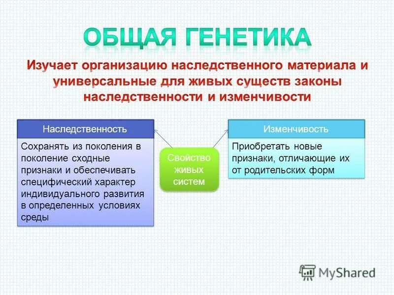 законы наследственности и изменчивости
