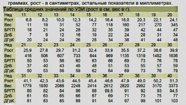 Нормы размера плода по УЗИ по неделям беременности. Таблица размеров плода по УЗИ 3 триместра. Размеры головки плода по неделям беременности таблица. Размер эмбриона по неделям беременности таблица. Температура на 25 неделе