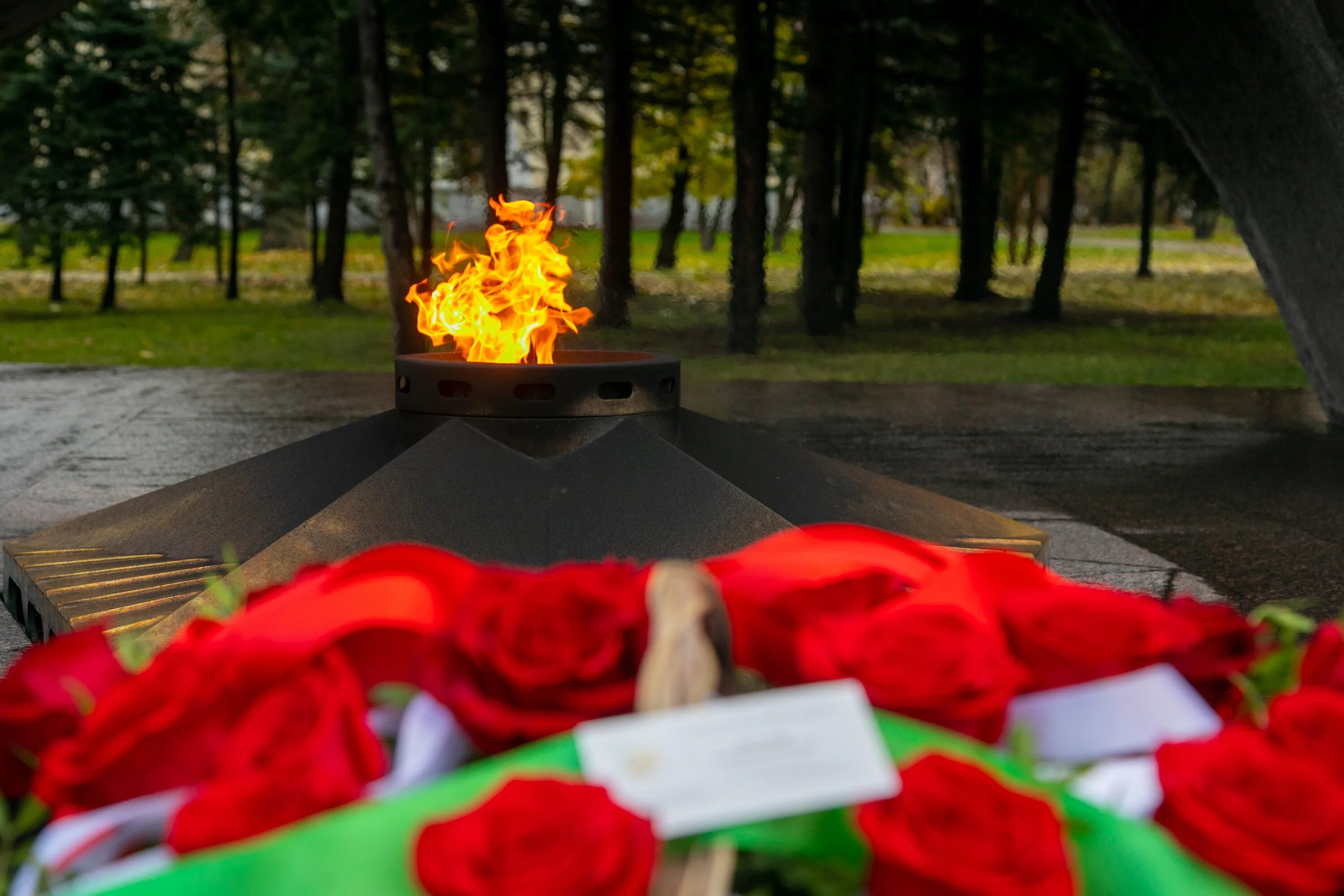 Минута молчания 24. 9 Мая вечный огонь. 22 Июня вечный огонь. Возложение гирлянды к Вечному огню. Вечный огонь Архангельск.