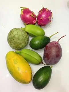Mango espana