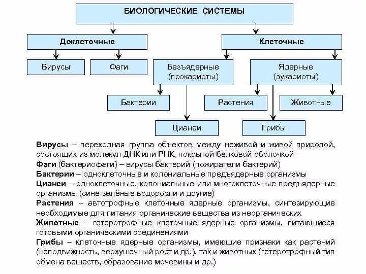 Принципы организации биосистем. Биологические системы таблица. Таблица организм биологическая система. Биологическая система схема.