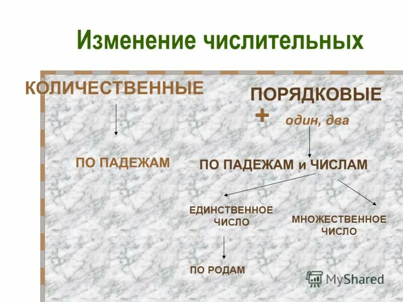 Порядковые имена числительные изменяются по падежам. Изменение числительных. Как изменяются порядковые числительные. Числительное во множественном числе. Порядковые числительные изменяются по родам числам и падежам.