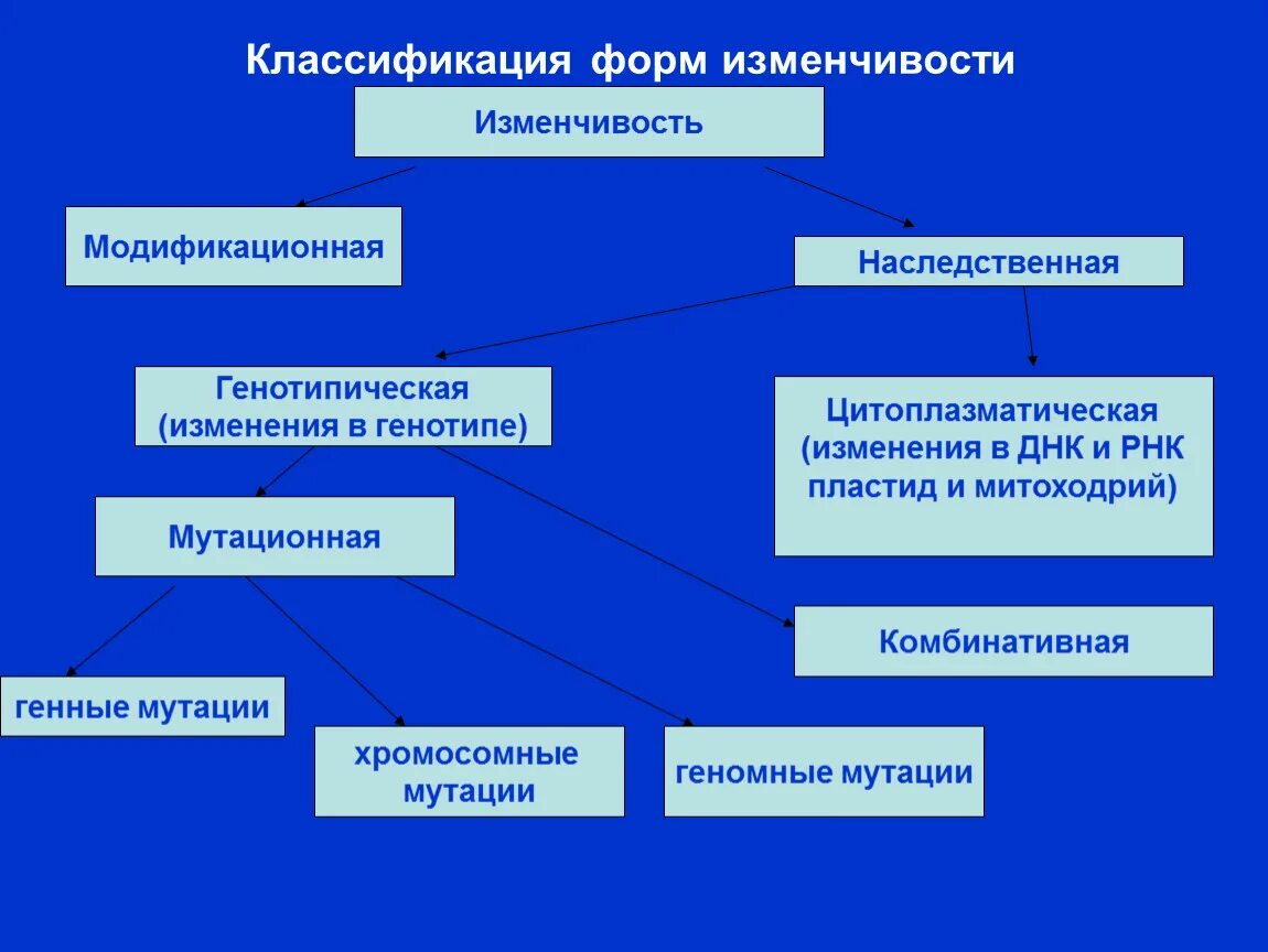 Изменчивость признаков виды изменчивости 10 класс. Классификация форм изменчивости ненаследственная изменчивость. 1. Классификация изменчивости.. Классификация наследственной изменчивости. Классификация видов изменчивости таблица.