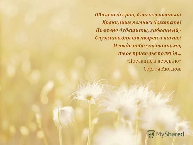 забвение. забвение фото. забвенный книга. забвение картинки. замки на куршская коса.