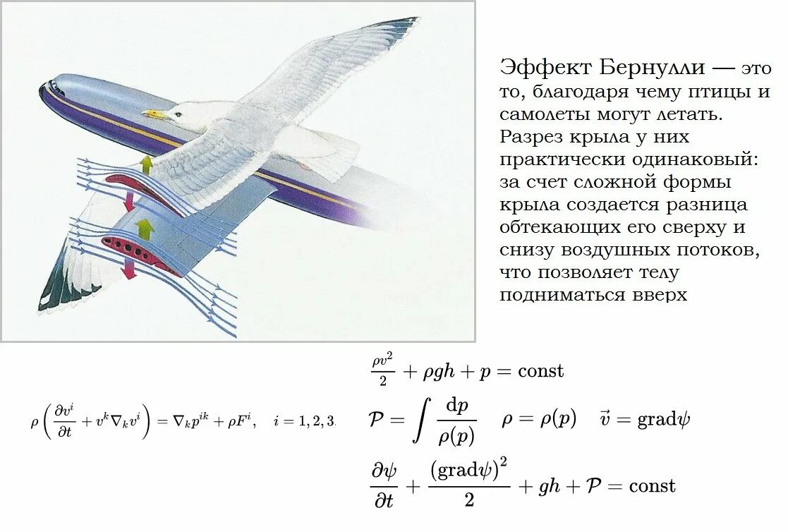 Уравнение Бернулли в аэродинамике формула. Подъемная сила крыла самолета уравнение Бернулли. Уравнение Бернулли крыло самолета. Аэродинамика крыла самолета подъемная сила.