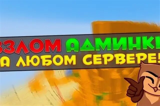 Секретный код хомяк 17 июня. Секретный код хомяк 17 июня
