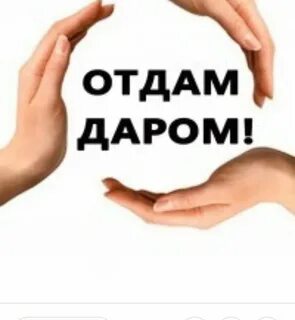 Группа ватсап отдам даром