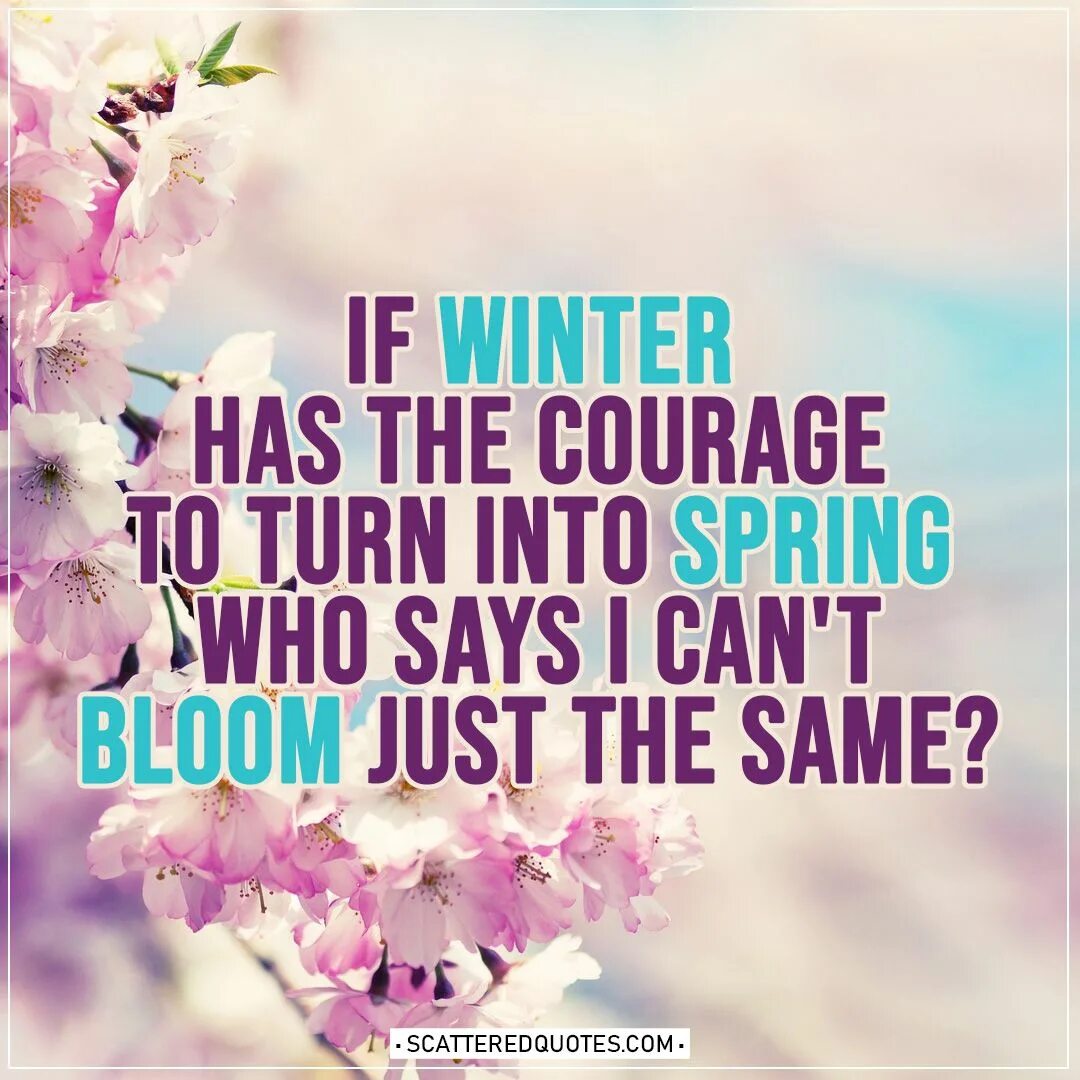 Was the best in spring. Spring quotes. Phrases about Spring. Quotes about Spring. Proverbs about Spring.