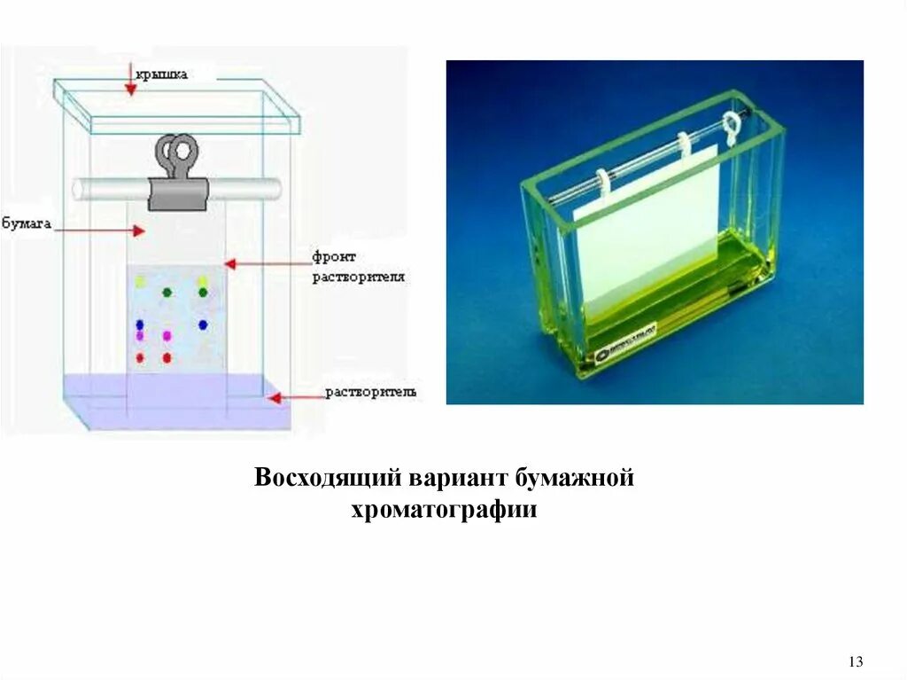 Планарная хроматография. Бумажная и тонкослойная хроматография. схема хроматографической камеры. бумага для тонкослойной хроматографии. восходящая тонкослойная хроматография.