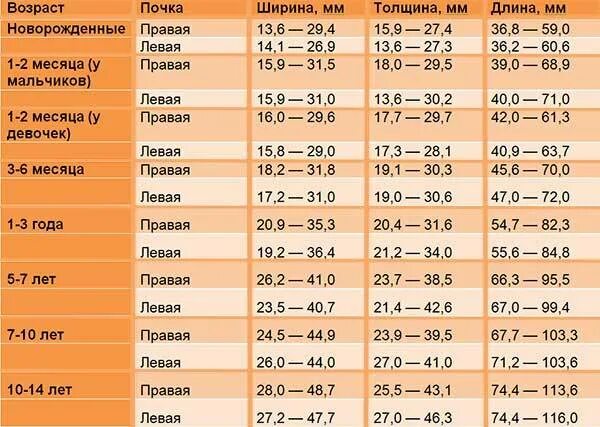 Почки у плода 20 недель. УЗИ почек показатели нормы таблица. Норма почек у детей 1 год. Норма размера почек у детей по УЗИ таблица. Норма почек у детей 5 лет.