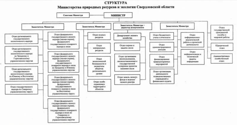 Департамент лесного хозяйства Свердловской области структура. Структура Министерства природных ресурсов и экологии РФ. Министерство природных ресурсов и экологии Свердловской. Структура Минприроды РФ схема.