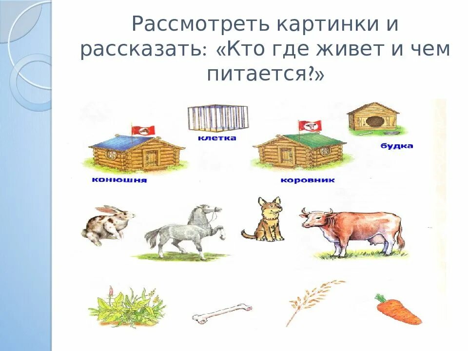 Где живут тогда. Где живут домашние животные. Кто где живет домашние животные. Домашние животные кто где живет картинки. Игра кто где живет домашние животные.