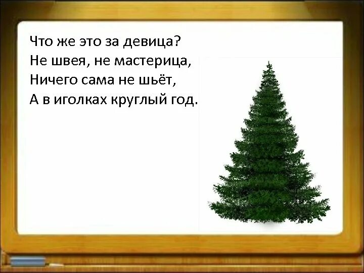 Загадка елка. Загадка про елочку. загадка про елку. загадка про елку для детей. загадка про ель для детей.