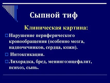 Сыпной тиф инфекция