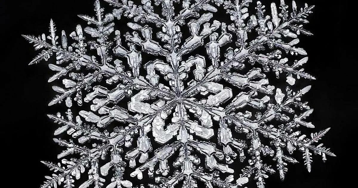 Настоящие снежинки под микроскопом Snow crystal by Alexey Kljatov, via 500px Amazing macro photography, Micro photo