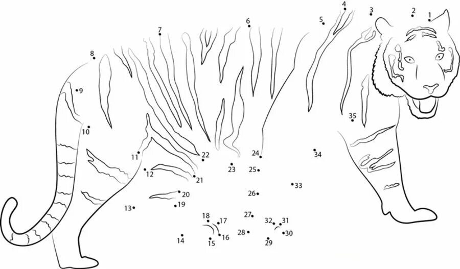Точка обитатель. Тигр по точкам. Тигр по цифрам. Тигр по точкам для детей. Раскраска по точкам тигр.