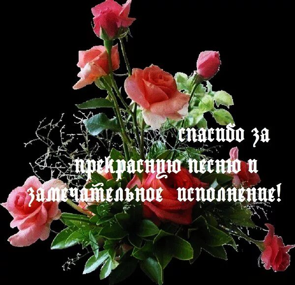 Песня спасибо от души. Благодарю за прекрасное исполнение. спасибо за прекрасное исполнение. спасибо за песню. благодарю за прекрасные слова.