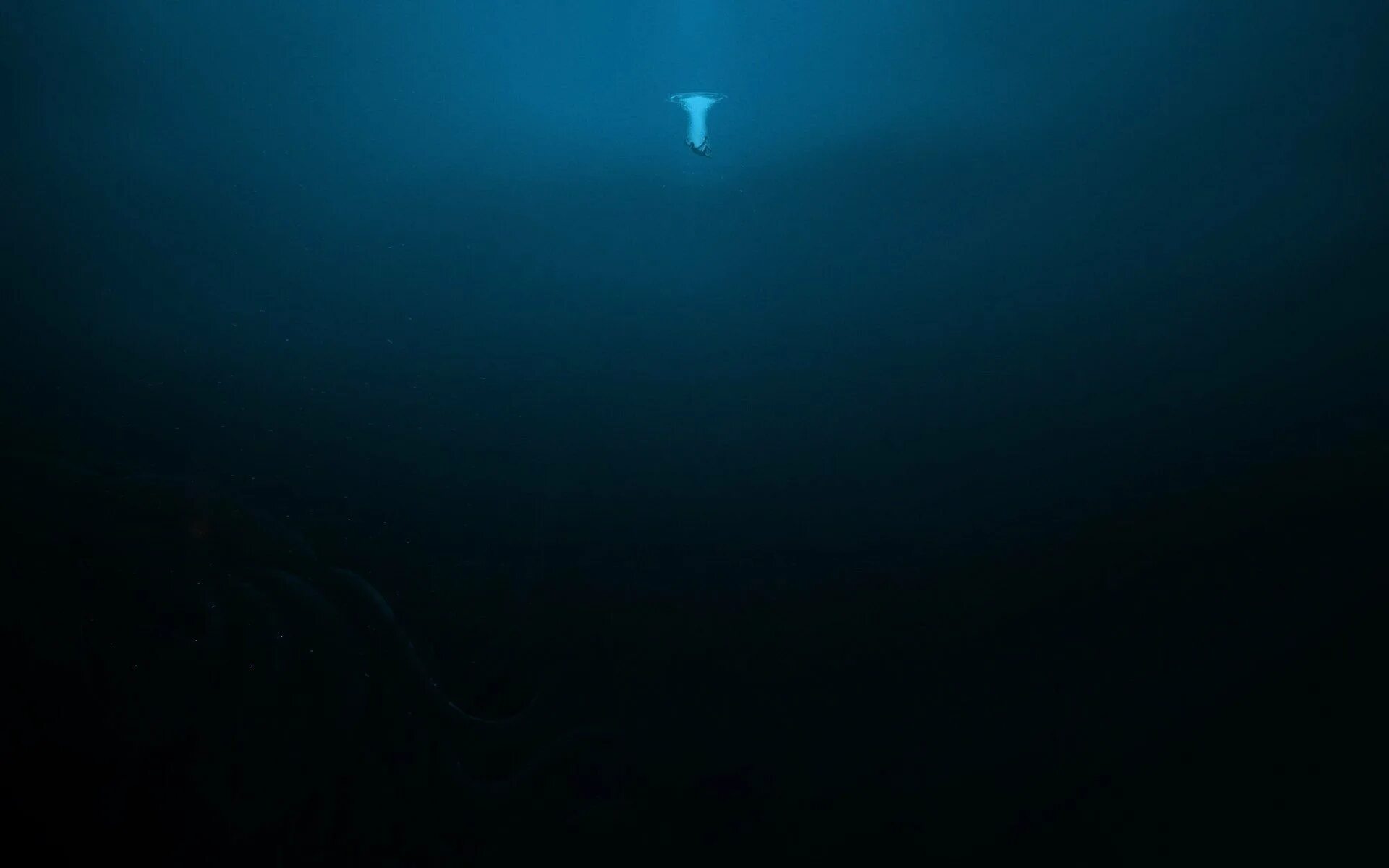 Глубина жуткий. Темное дно океана. Темные глубины океана. Морские глубины. Океаны. Глубина.