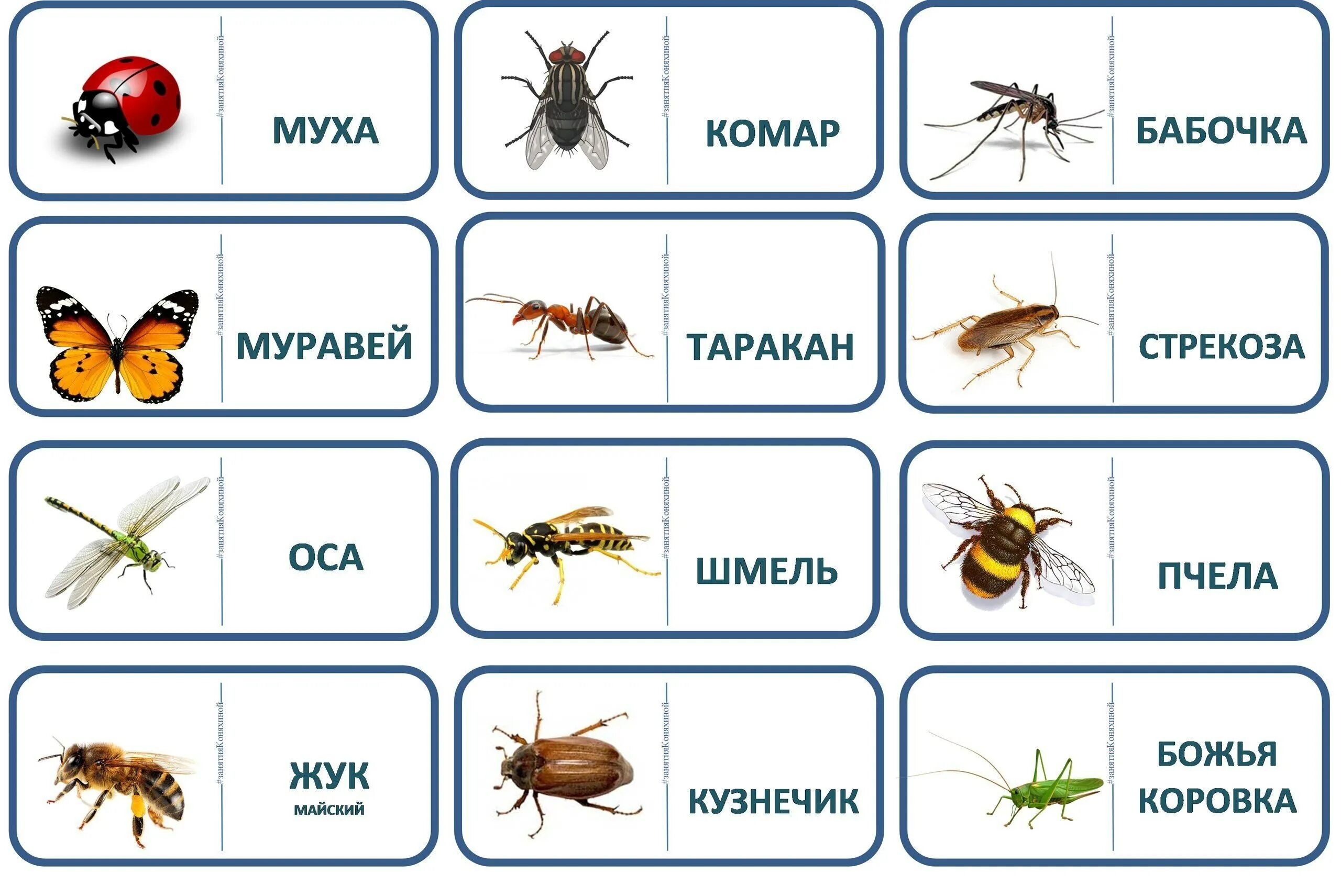 Сопоставить картинки с названием