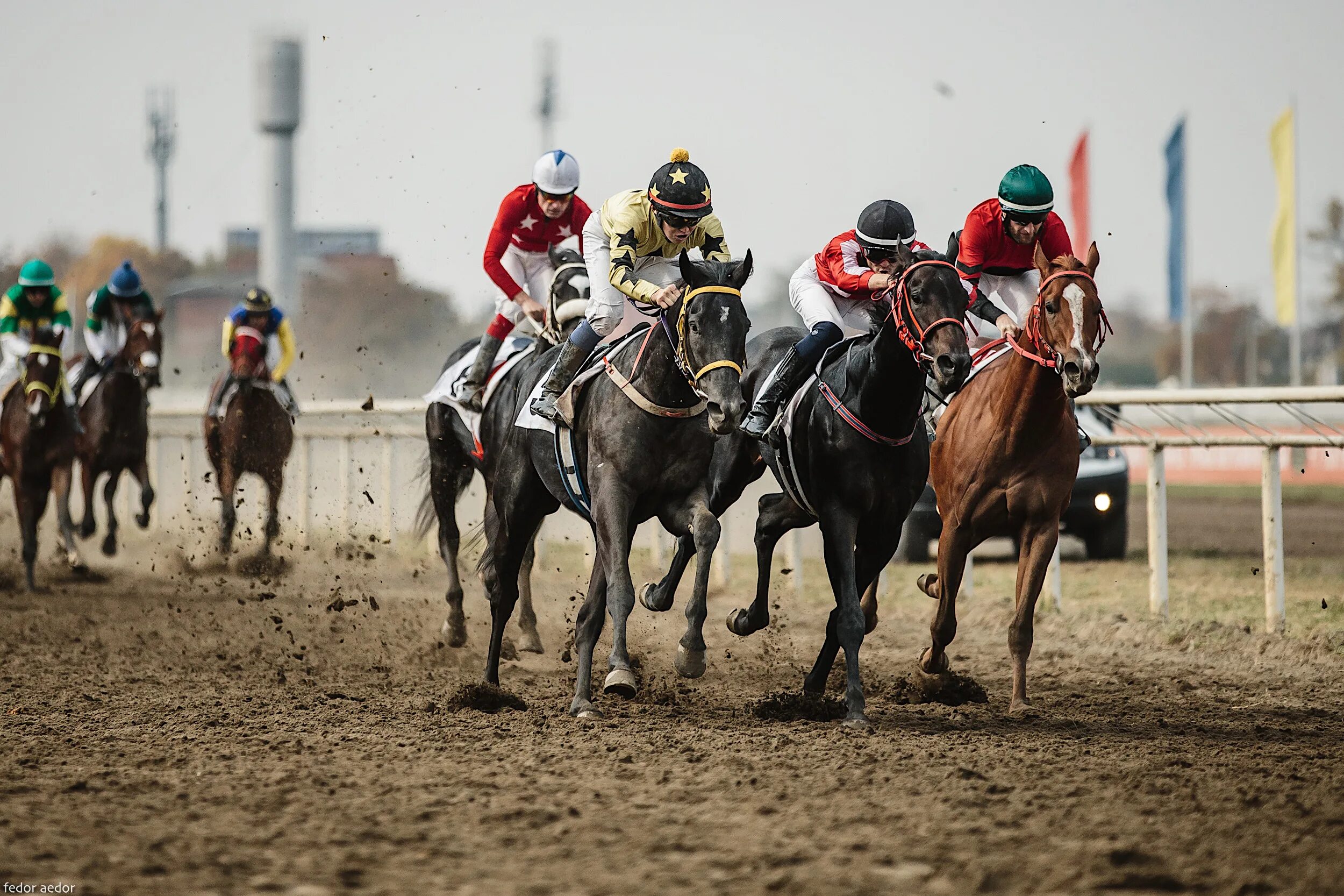 Гонка на лошадях. Скачки grand national. Главные скачки. Скачки ипподром краснодар. Лошадь на скачках.