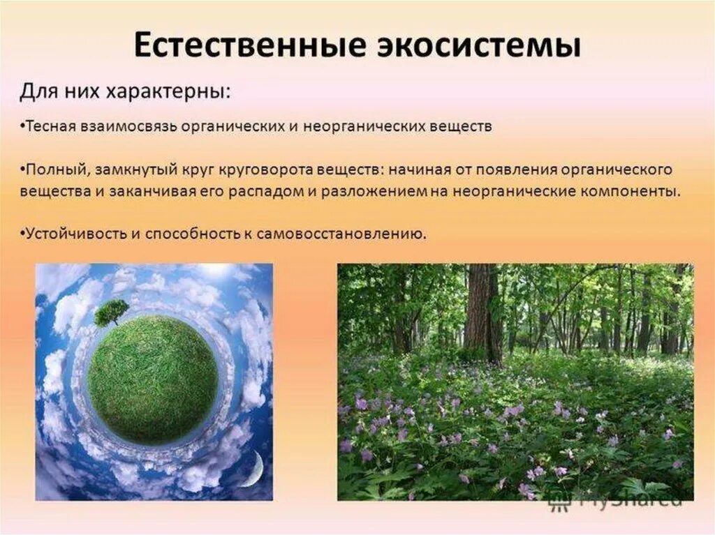 Примером биогеоценоза может служить организм человека. Естественная экологическая система это. Природные экосистемы. Искусственные экосистемы. Примеры естественных экосистем.