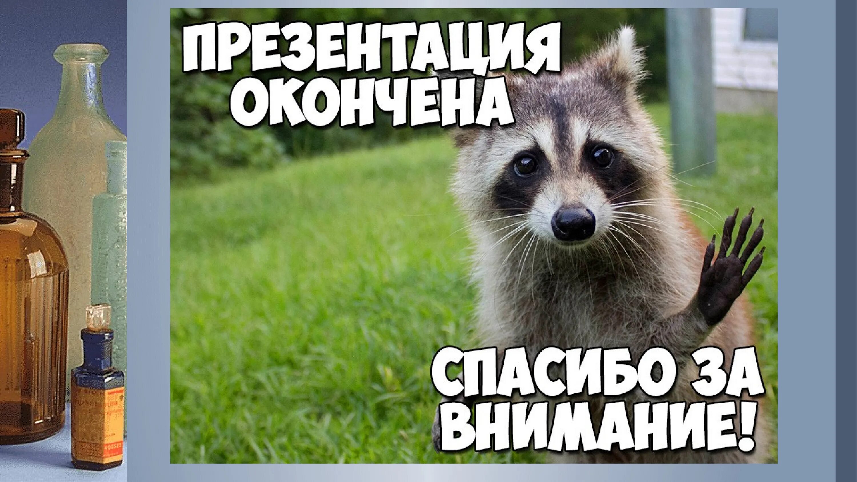 Спасибо закончим. Спасибо за внимание для презентации мем. спасибо за внимание для презентации смешные наглые. презентация окончена мем. презентация окончена биология.