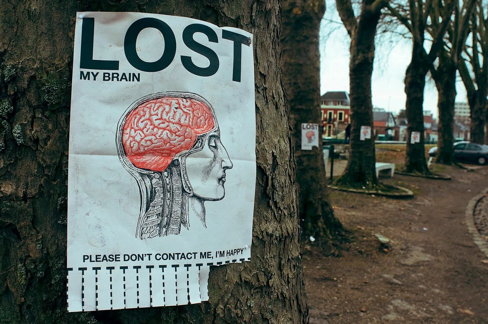 Lost brained. Мозг граффити. Lost Brain ad.