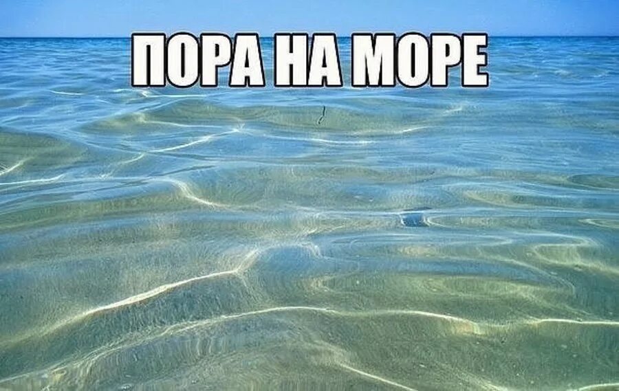 Добро утро всем кроме