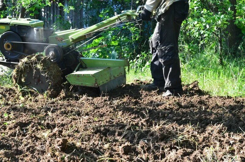 Спил деревьев севастополь. Покос и вспашка участка. спил деревьев покос травы вспашка земли. вспашка земли спил деревьев буренияпакос. фото вспашка.