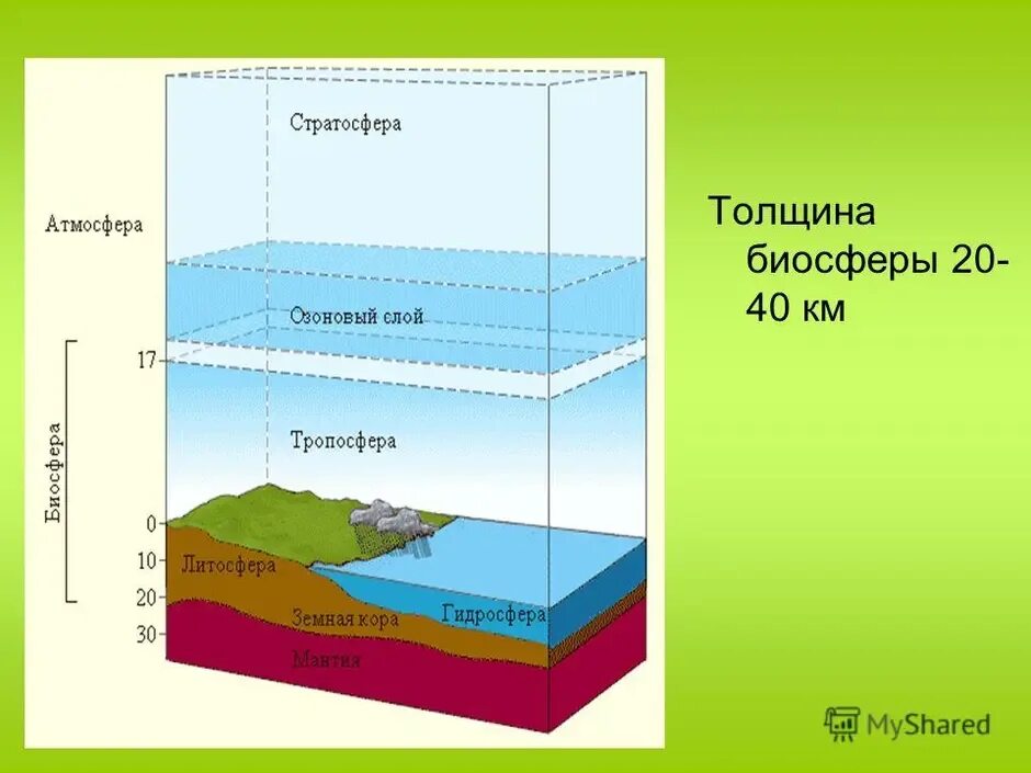 Литосфера гидросфера атмосфера Биосфера. Внешние оболочки земли атмосфера гидросфера литосфера. Биосфера Живая оболочка земли. Каменная оболочка земли.